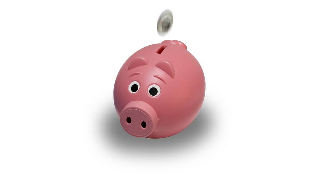 Piggy Bank. Image used under a Collective Commons License from https://pixabay.com/illustrations/piggy-bank-coin-pink-piggy-bank-1056615/