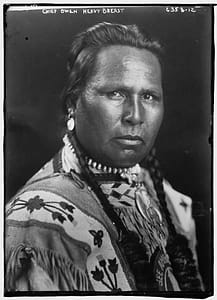 Image used under a Collective Commons License from: https://loc.getarchive.net/media/chief-owen-heavy-breast-american-indian