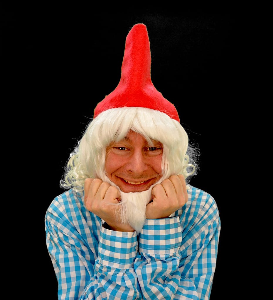 Image used under a Collective Commons License from https://pixabay.com/photos/dwarf-gnome-imp-kobold-fabric-1746634/